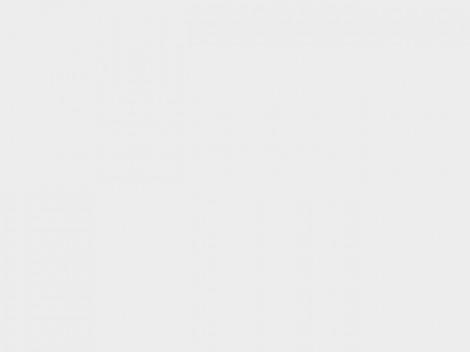 Disponibilizari la stat