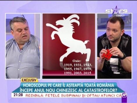 Zodiacul chinezesc al anului 2015! Află ce au pregătit astrele pentru fiecare dintre noi