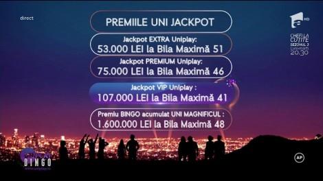 S-a strigat BINGO și s-a desemnat câștigătorul! Ai verificat cartoanele de joc?