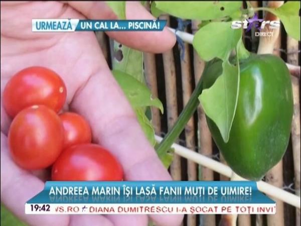 Andreea Marin &icirc;şi lasă fanii muţi de uimire! Imagini superbe din "colţul de rai" al Z&acirc;nei!