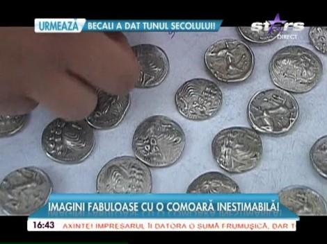 Povestea moldoveanului peste care a dat norocul. A mers în pădure și s-a îmbogățit peste noapte!