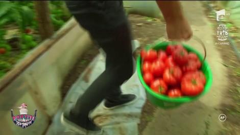 Uite de ce muncește Tand! Nicolai cel harnic, năpădit de amintiri din copilărie: ”Aici fac multe lucruri pe care în viața de zi cu zi nu mi le mai permit"