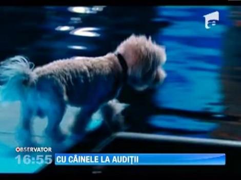 Catelul Deliei si-a facut un nou prieten la X Factor. Vezi concurentul care l-a dresat pe Louie!