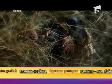 Le mai știi pe Cheeky Girls? Uite cum arată acum fetele! Dar și ce face Nea Mărin cu ele!