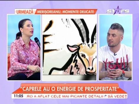 Anul maimuței aduce conflicte și pericole! La ce să te aștepți în următoarea perioadă, în funcție de zodie!