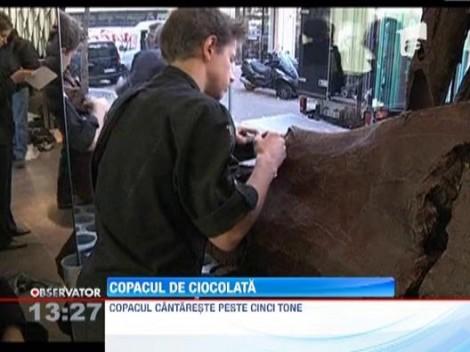 Desert demn de Top Chef: Copac din ciocolata, inalt de 5 metri!