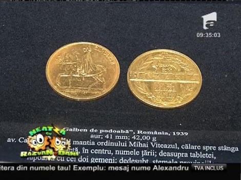 Expoziţie inedită dedicată prichindeilor: ZooMonetar, fauna lumii pe bacnote şi monede!