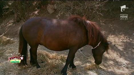 „Vrea să se mărite și nu știe nici măcar asta la 27 de ani?!” Cruduța s-a făcut de râs de față cu toată lumea!