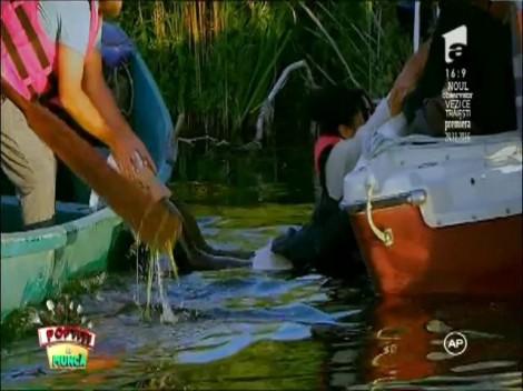 Ce Titanic?! Priviţi aici căzătură de senzaţie a la Margherita de la Clejani. "Mă mănâncă şerpii, mooor!!!"