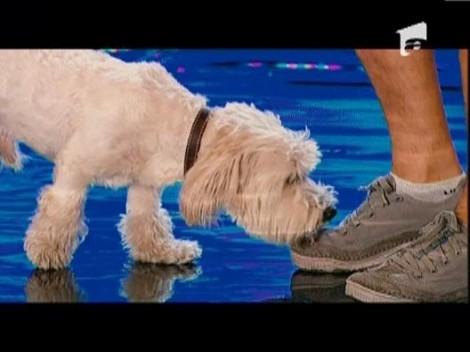 In timp ce un concurent ii dreseaza catelul, Delia dreseaza un... stripper!