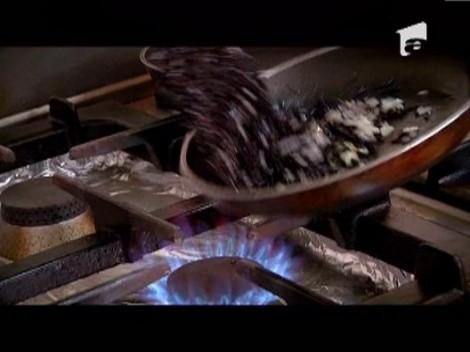 Maria Ungureanu se prezinta