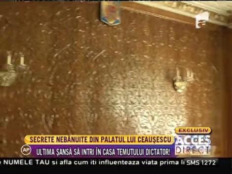 Lux de neimaginat: Iată cum arată în interior palatul în care au locuit soții Ceaușescu!