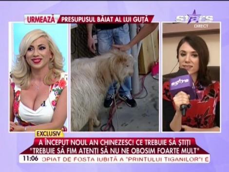 Zodiacul chinezesc nu minte niciodată! Se anunță schimbări importante la nivel personal. Specialiştii ne spun prin ce provocări trec zodiile în 2015