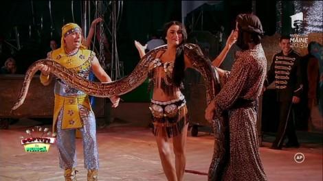 Cruduța, șoc și groază după ce s-a urcat șarpele pe ea! Toți au râs de ea când i-au văzut reacția de milioane!