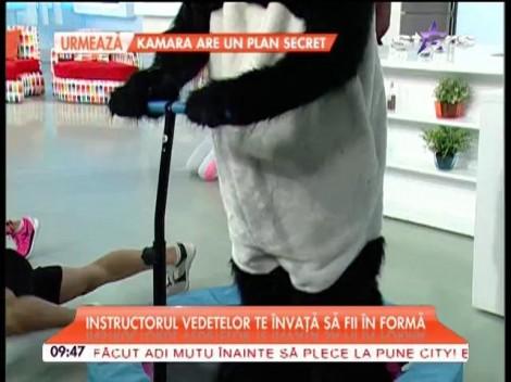 Un urs panda la cursul de gimnastica de la Star Matinal