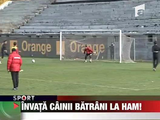 Invata cainii batrani la ham