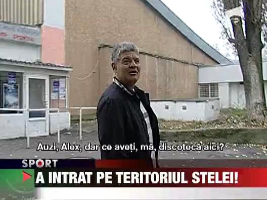 Andone, pe teritoriul Stelei!