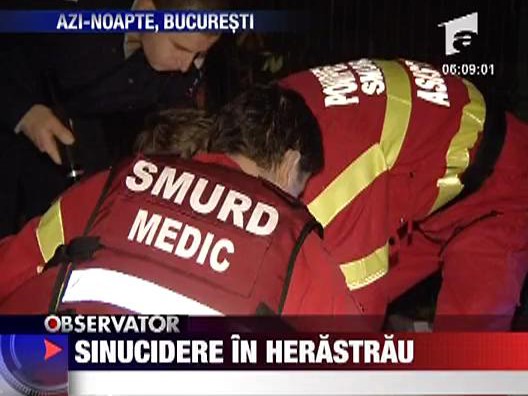 Sinucidere in Herastrau