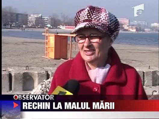 Rechin la malul marii