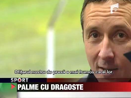 Palme cu dragoste