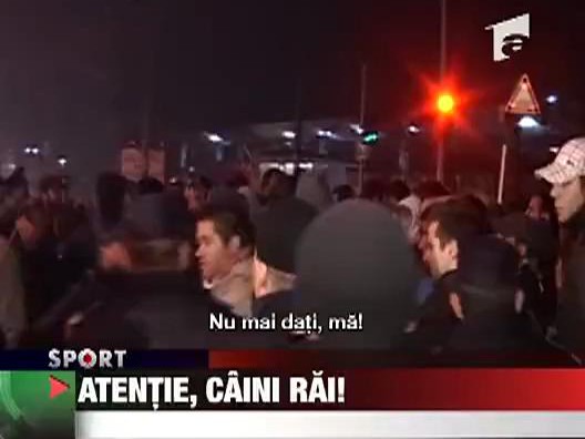 Atentie, caini rai!