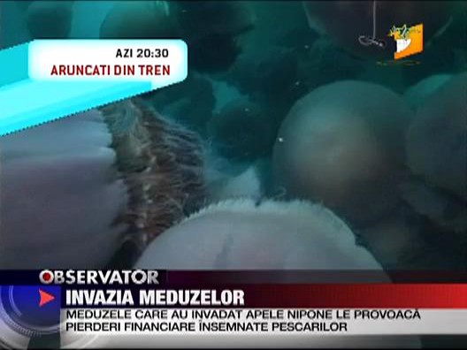 Invazia meduzelor