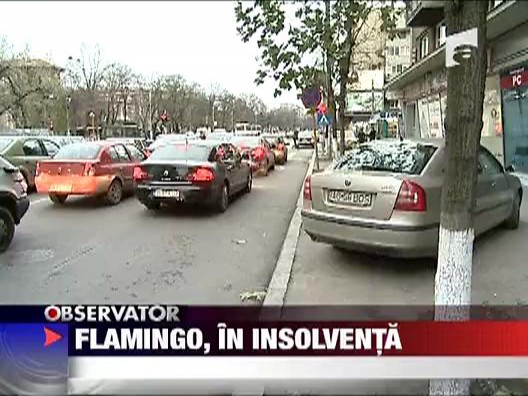 Flamingo, in insolventa