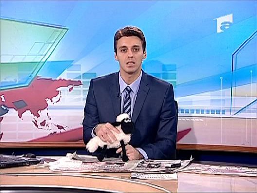 Oaia tremurici