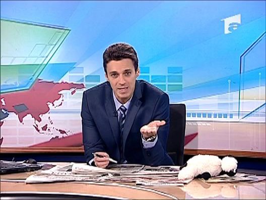 Guvernul Boc