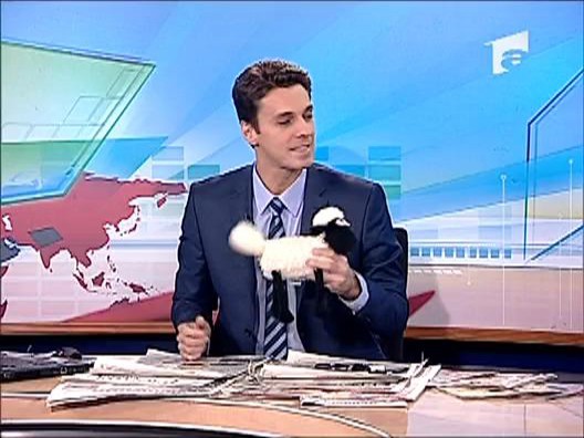 Oaia lui Badea