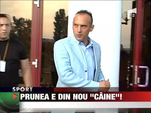 Prunea e din nou "caine"!