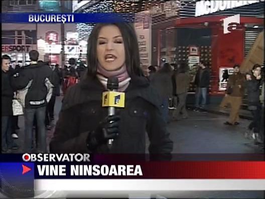 Vine ninsoarea