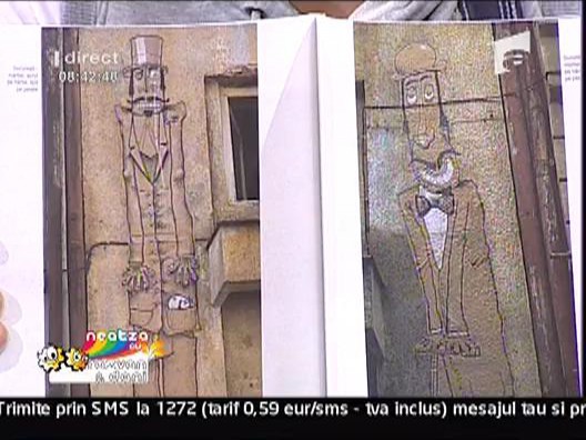 Pisica Patrata la neatza