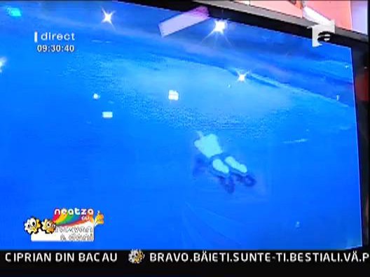 Nu plonjati in apa! E inghetata!