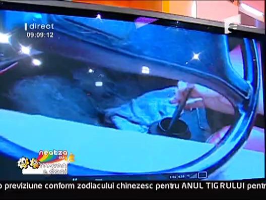 Vezi o parodie spumoasa despre cocalarii care se lauda pe Internet cu masinile altora!