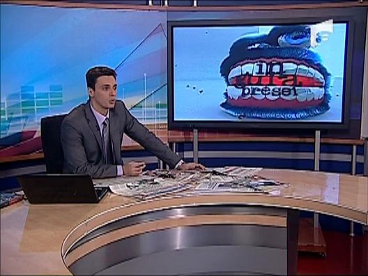 Revista presei