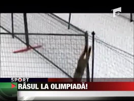 Un ras pe partie