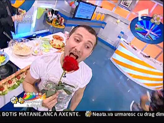 Mariana Ionescu Capitanescu - Prietenia-i lucru mare