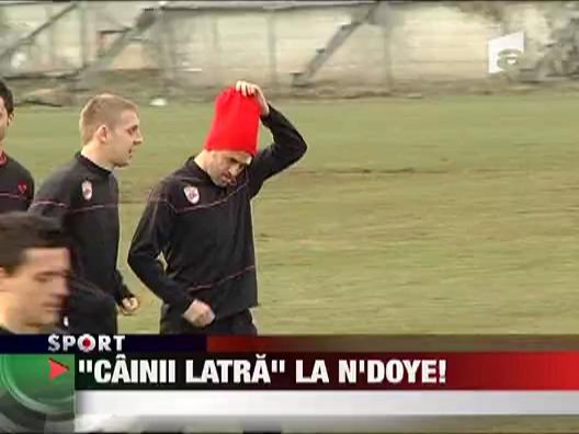 Cearta la Dinamo