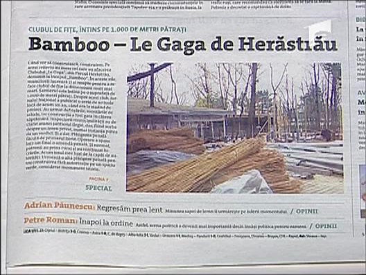 Bamboo mai presus de lege