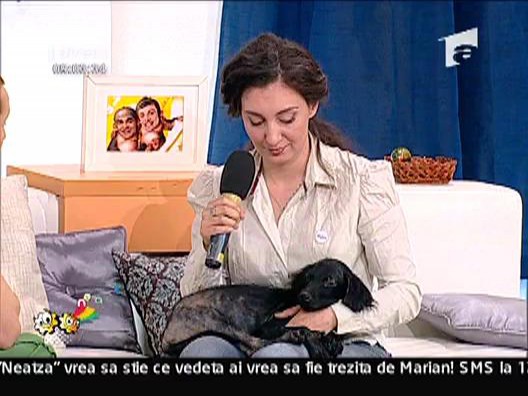 Raluca Simion presedinte Group Initiative For Animals la Neatza
