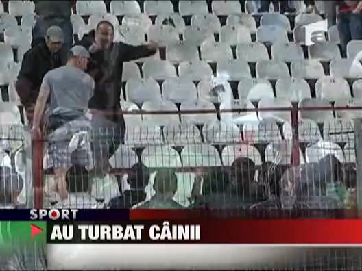 Suporterii dinamovisti s-au batut intre ei la meciul cu Timisoara