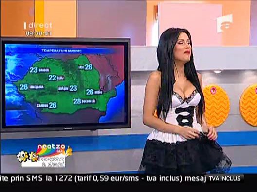 Catelul Danielei se va numi Dimi