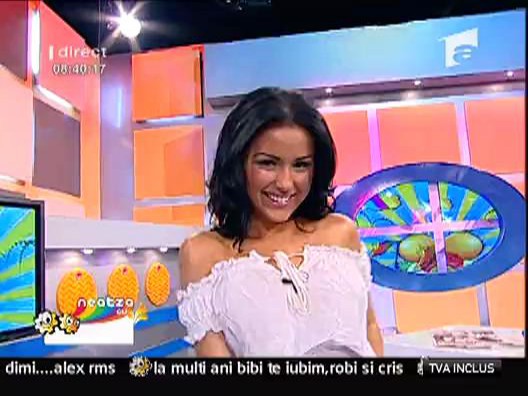 Diana Bisincu - Amarea Palacarsescu