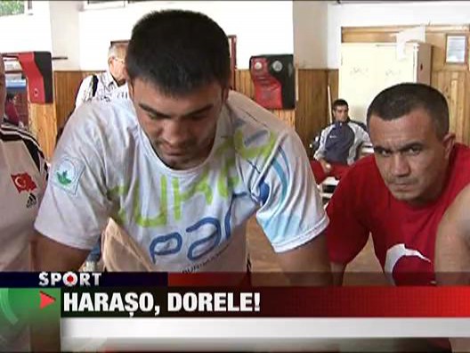 Haraso, Dorele!