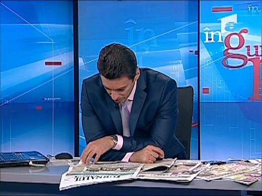 Melania Vergu, trafic de influenta