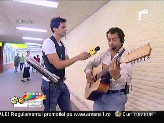 Elvis - artist stradal