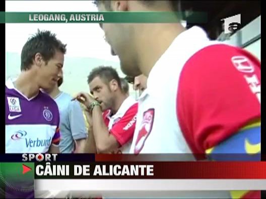 Caini de Alicante