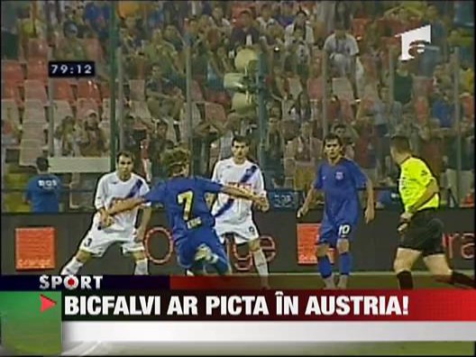 Bicfalvi ar picta in Austria