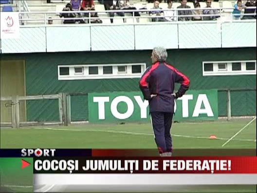 Cocosi jumuliti de federatie